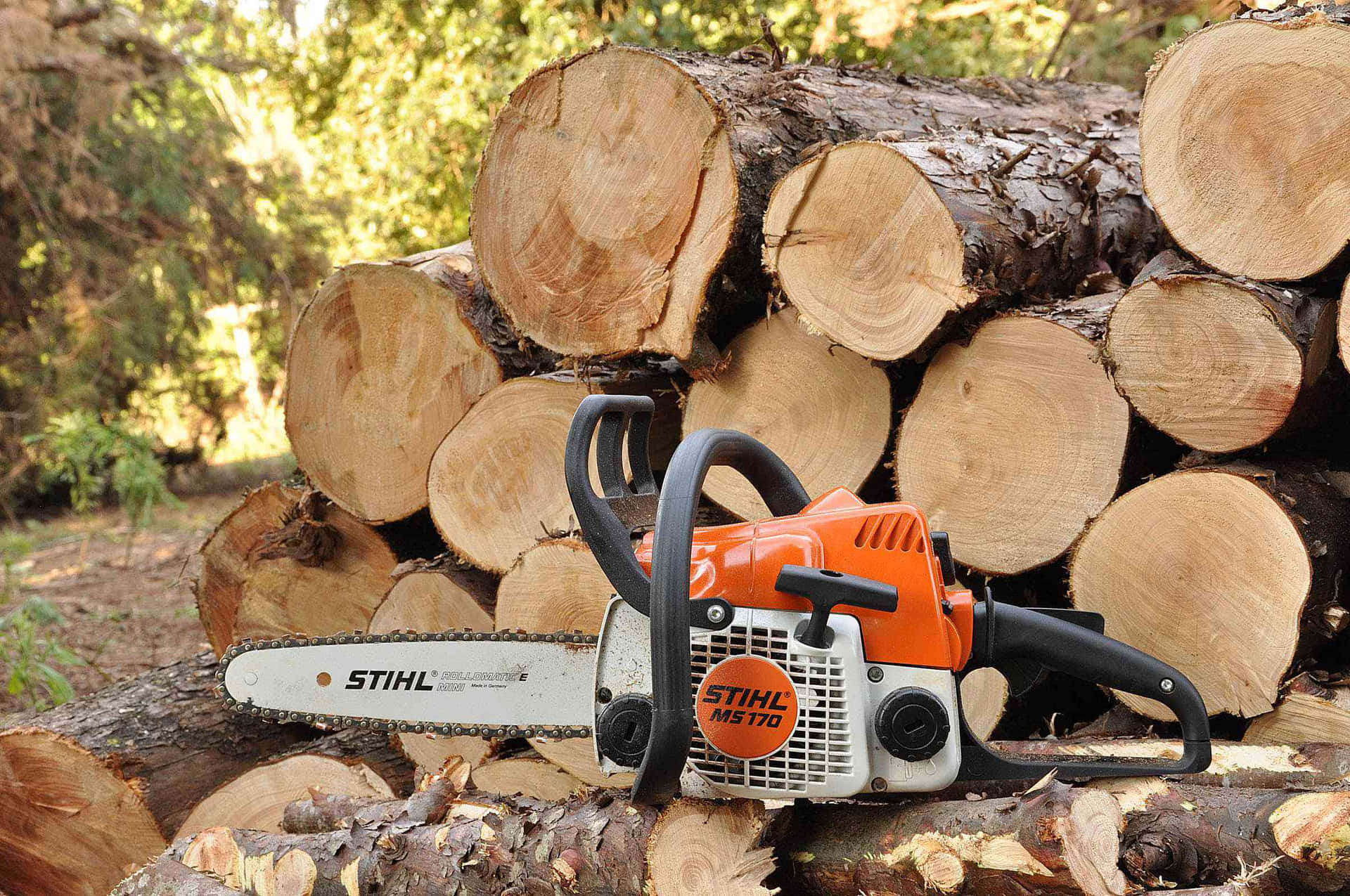 Professional Chainsaw in Action
