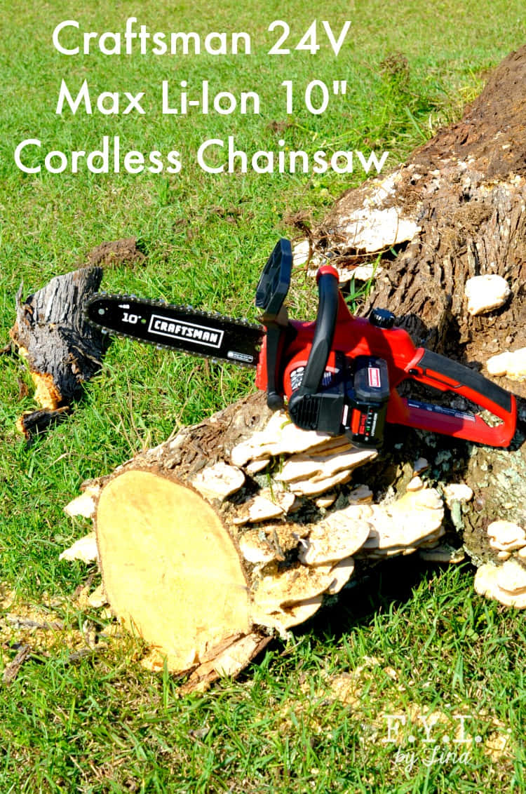 The Powerful Machinery: A Chain Saw in Motion