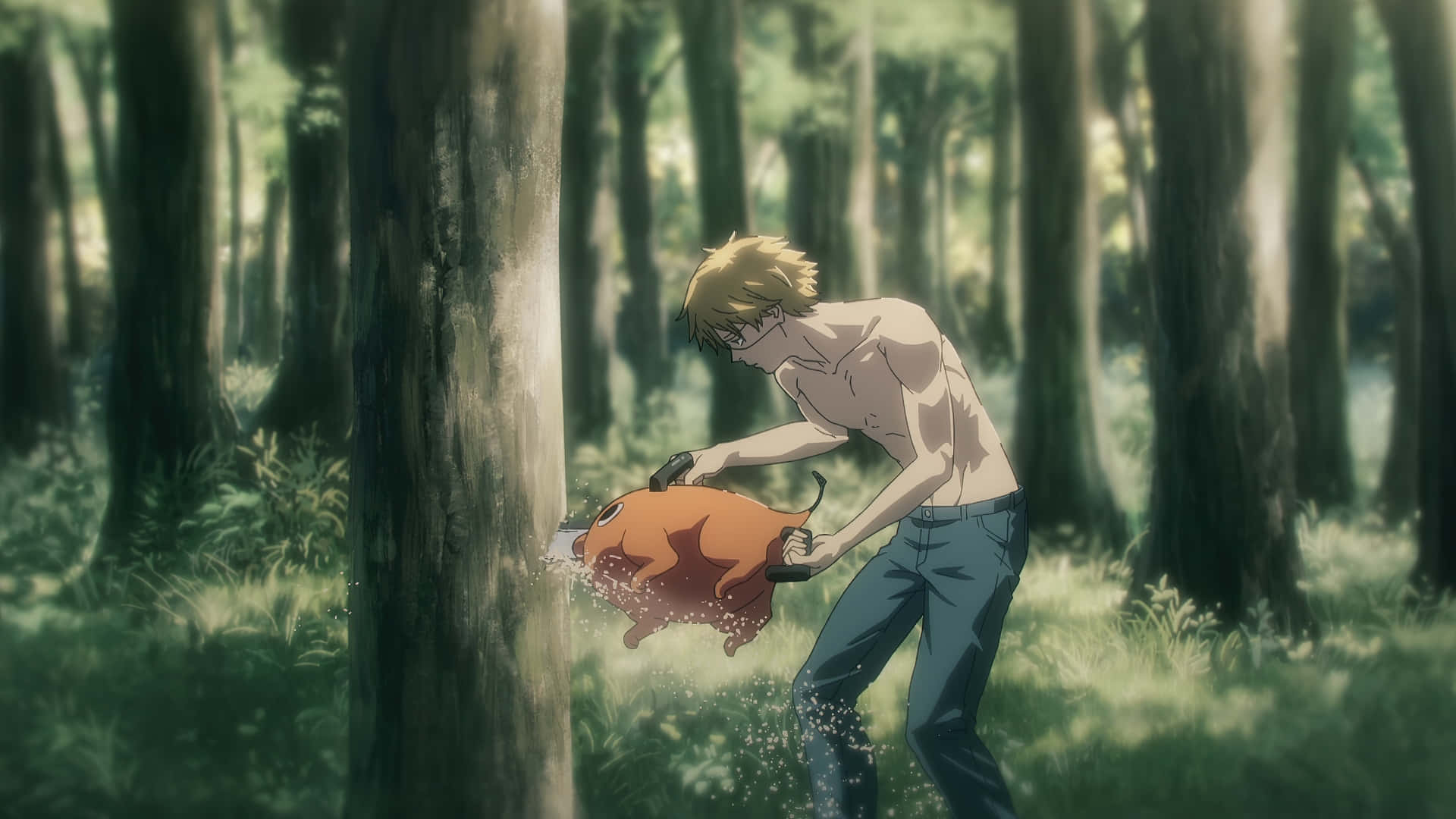 Escena En El Bosque De Chainsaw Man Pochita Y Denji Fondo de pantalla