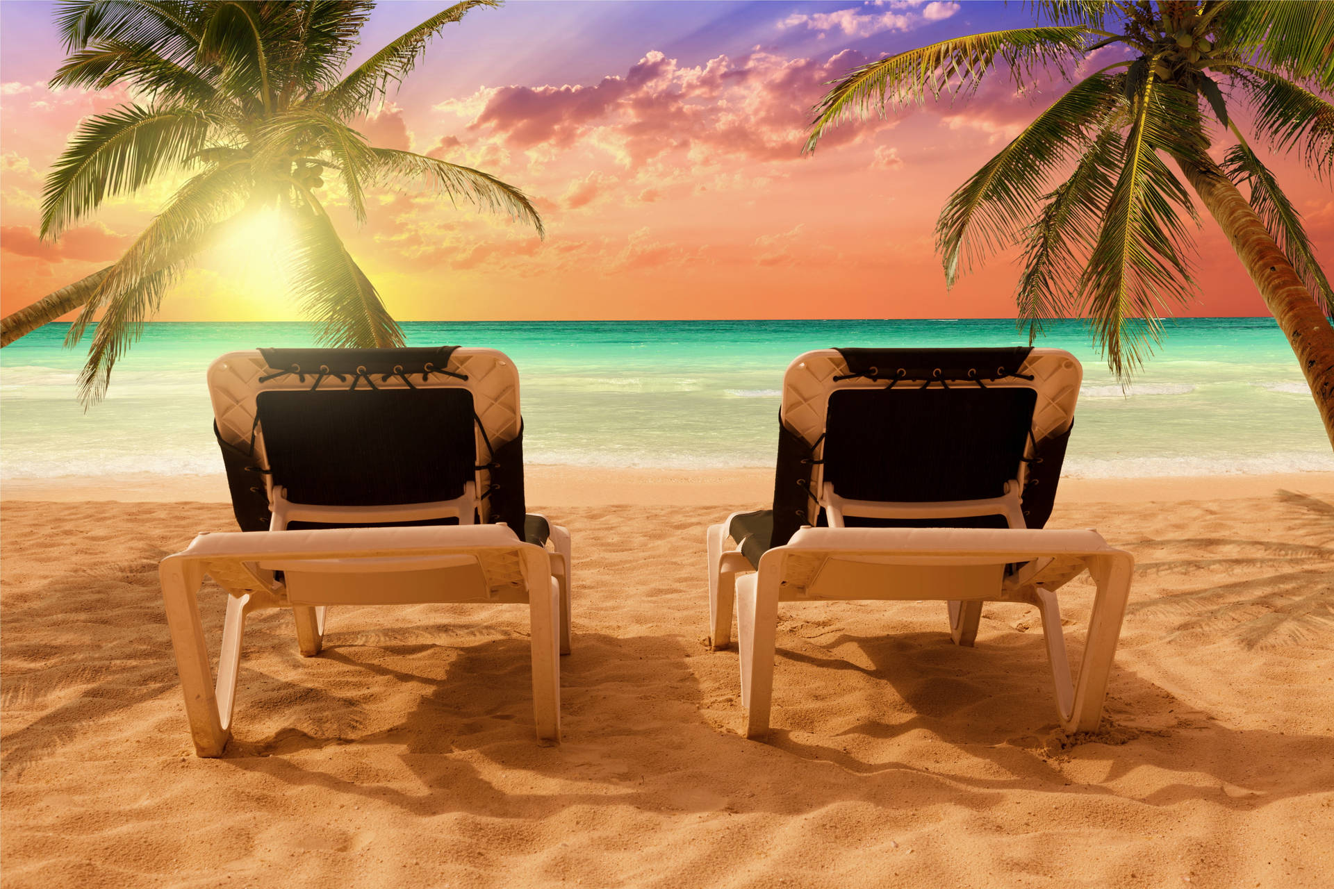 Chairs And Trees Beach Desktop Wallpaper