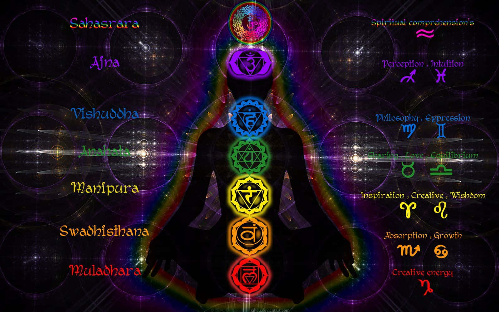 Colorful Chakra Energy Centers on Dark Background