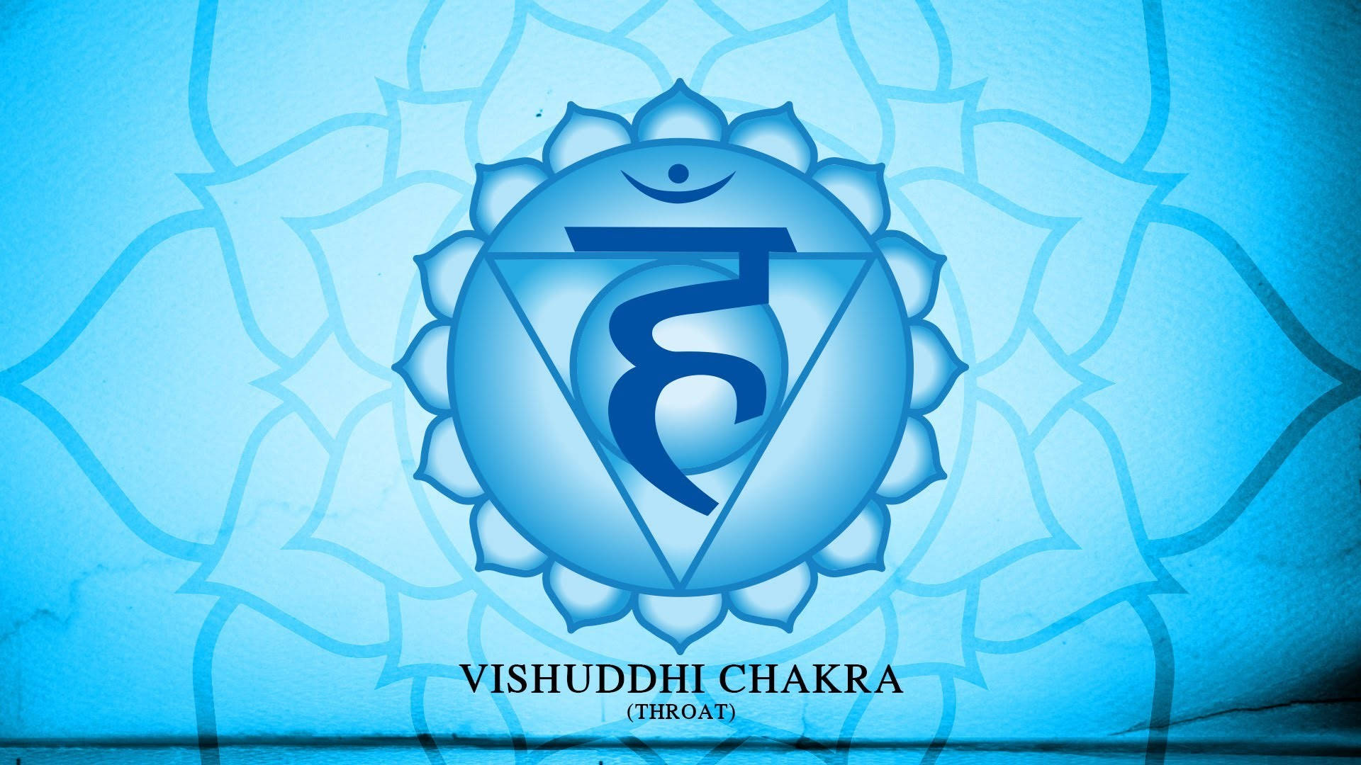 Logoet for Vishuddhi Chakra forsvinder i den koralblå baggrund. Wallpaper