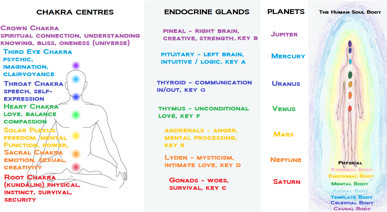 Chakra Endocrine Planets Correlation Chart PNG