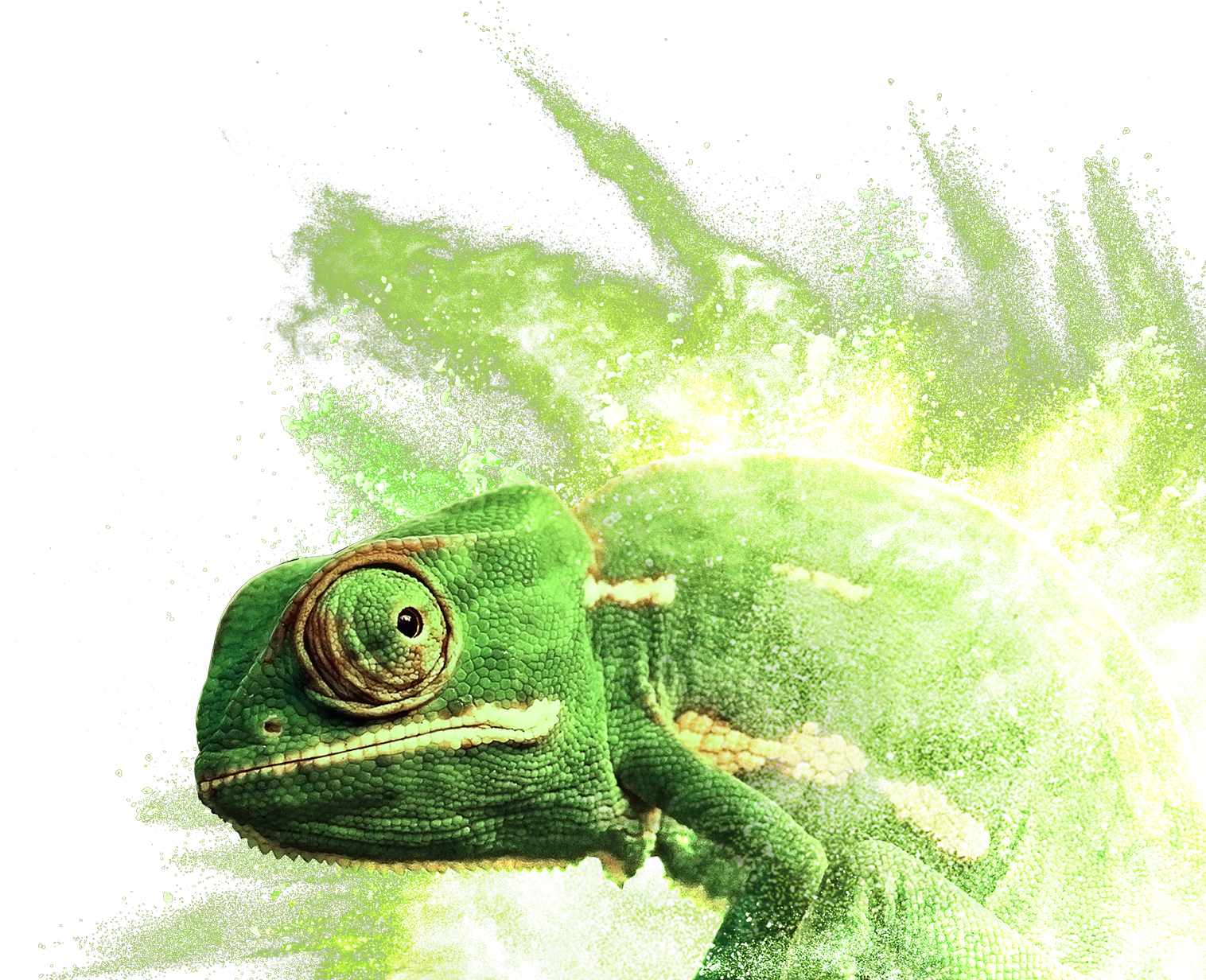 Chameleon Digital Artwork PNG