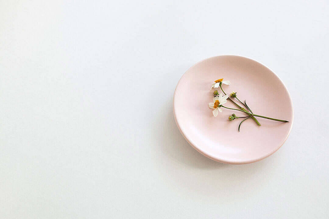 Chamomile Flower In Pastel Pink Aesthetic Plate Wallpaper