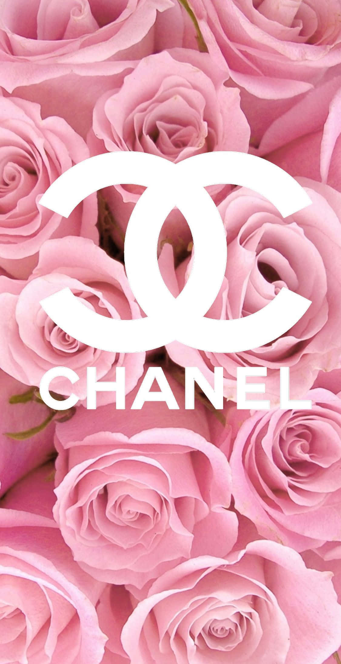 Chanel in white background with flowers chanel HD wallpaper  Peakpx