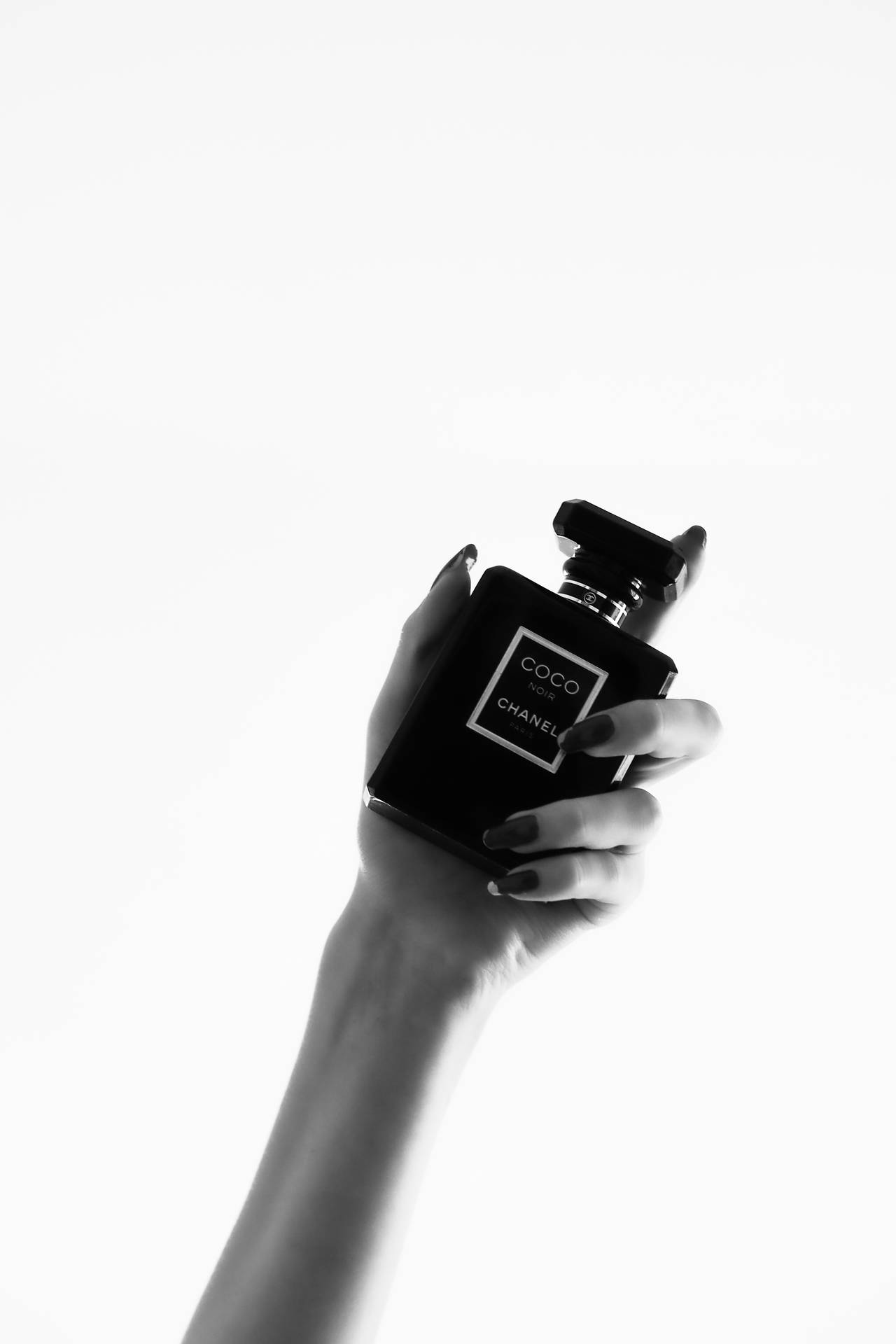 Chanel Noir With Hand Grayscale Background