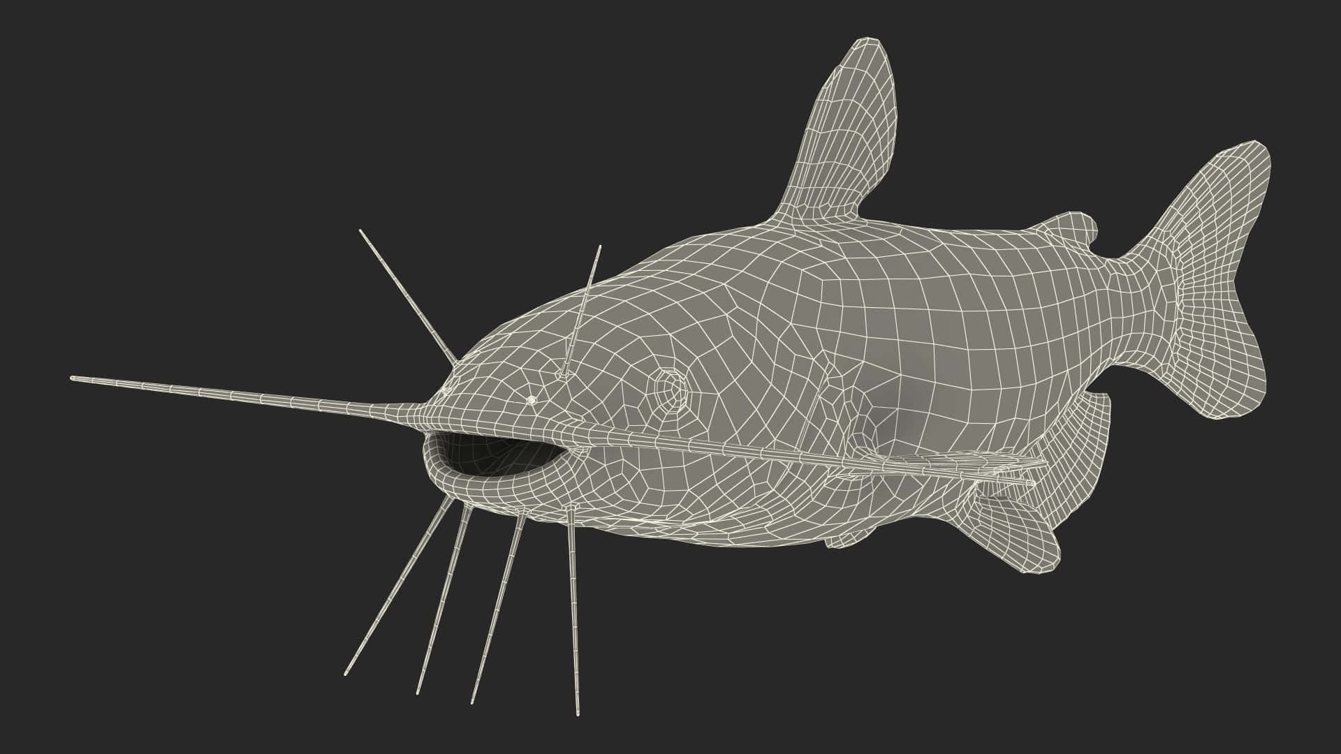 Channel Catfish Wireframe Model Wallpaper
