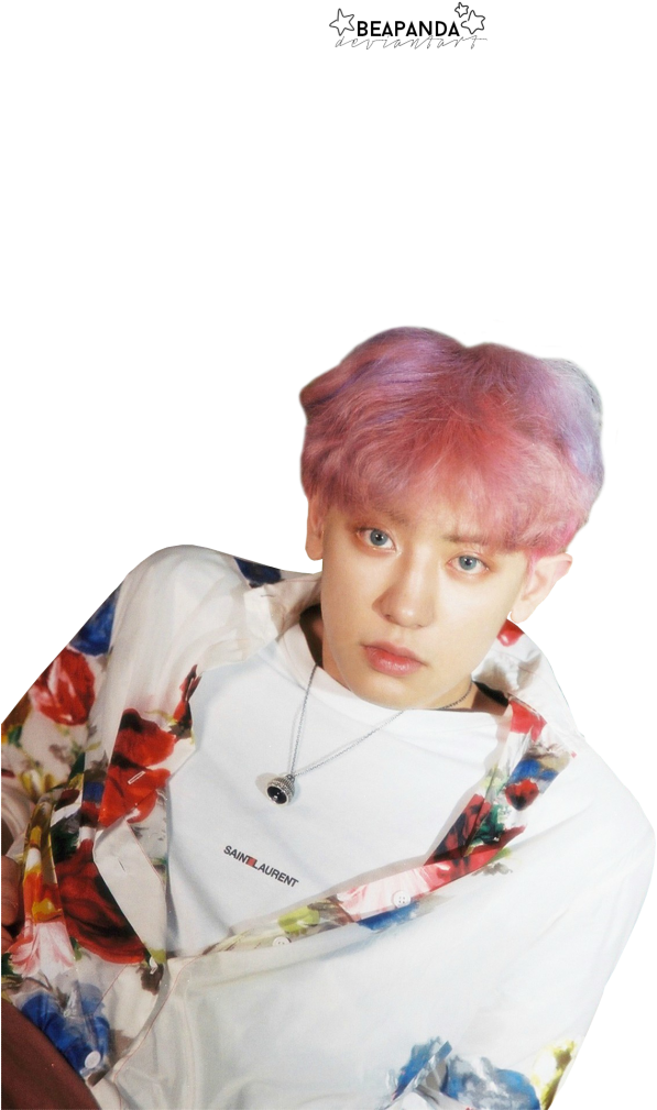 Chanyeol Pink Hair Fashion Portrait PNG