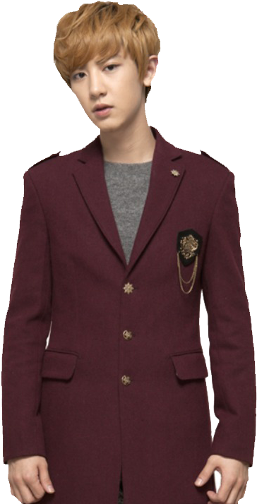 Chanyeolin Maroon Blazer PNG