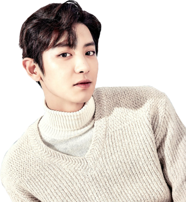 Chanyeolin White Turtleneck Sweater PNG
