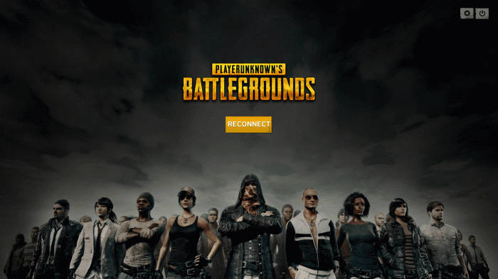 Characters Lined Up PUBG Banner Wallpaper