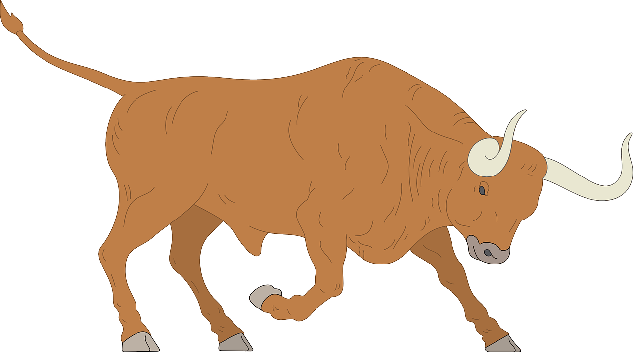 Charging Bull Illustration PNG