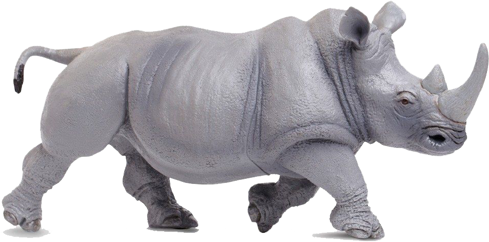 Charging Rhinoceros Isolated PNG
