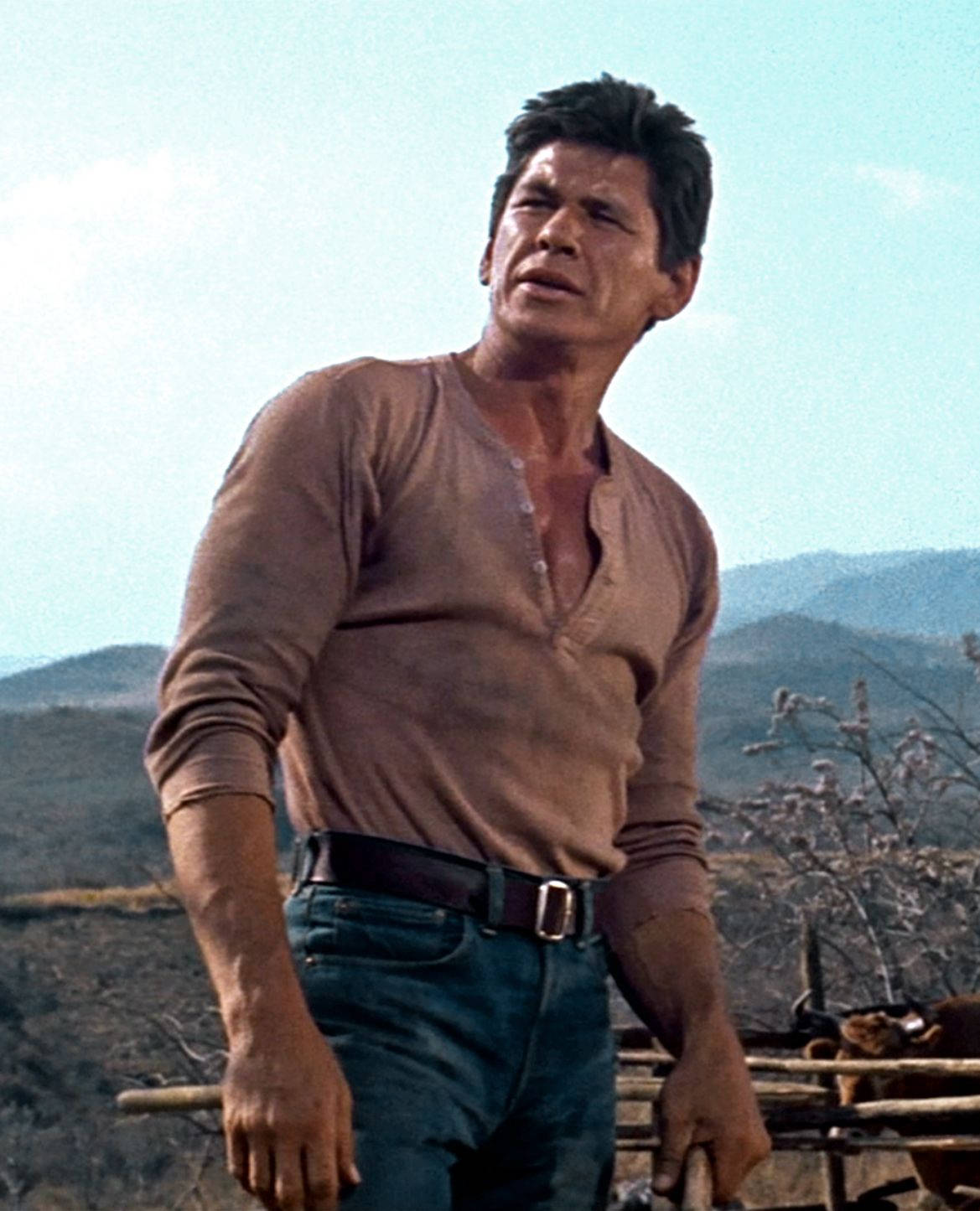 charles bronson physique