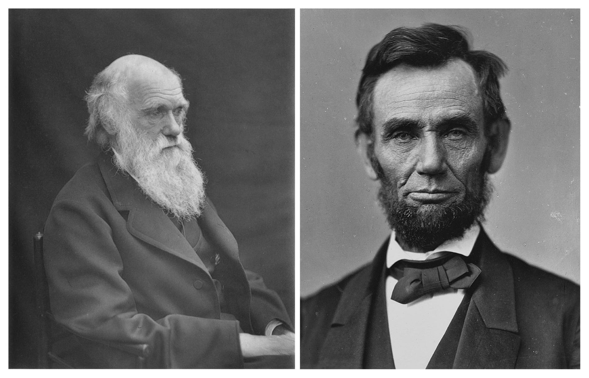 Charles Darwin And Abraham Lincoln Wallpaper