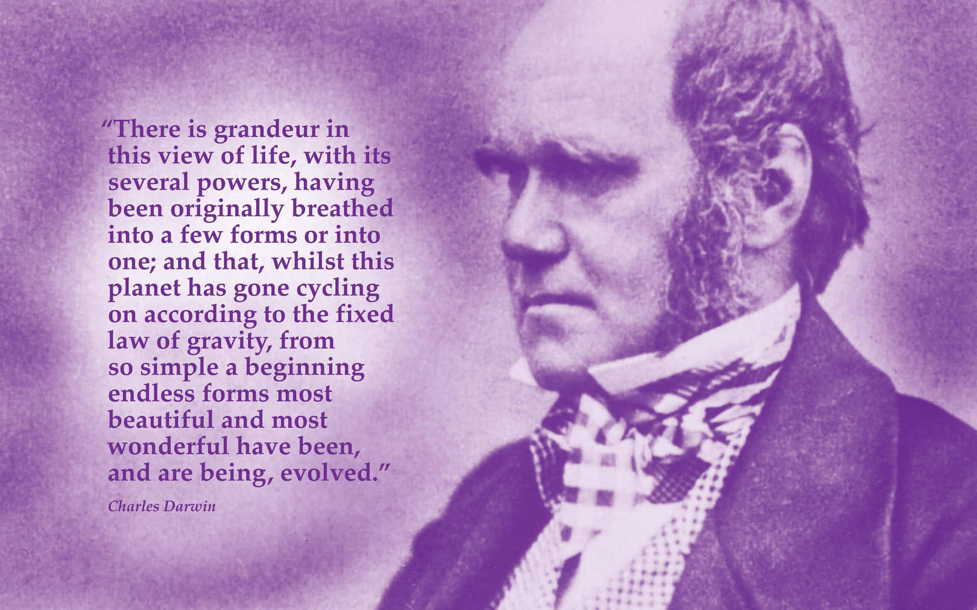 Charles Darwin Grandeurof Life Quote Wallpaper