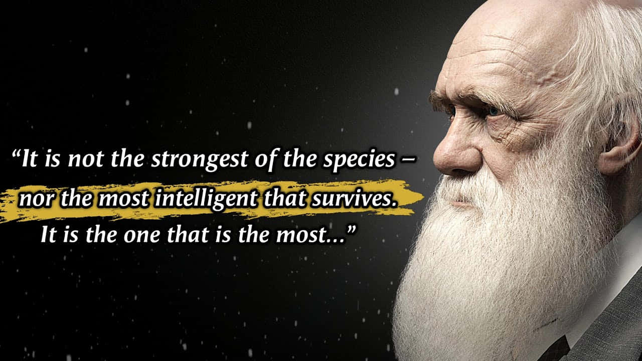Charles Darwin On Intellectual Beings Wallpaper