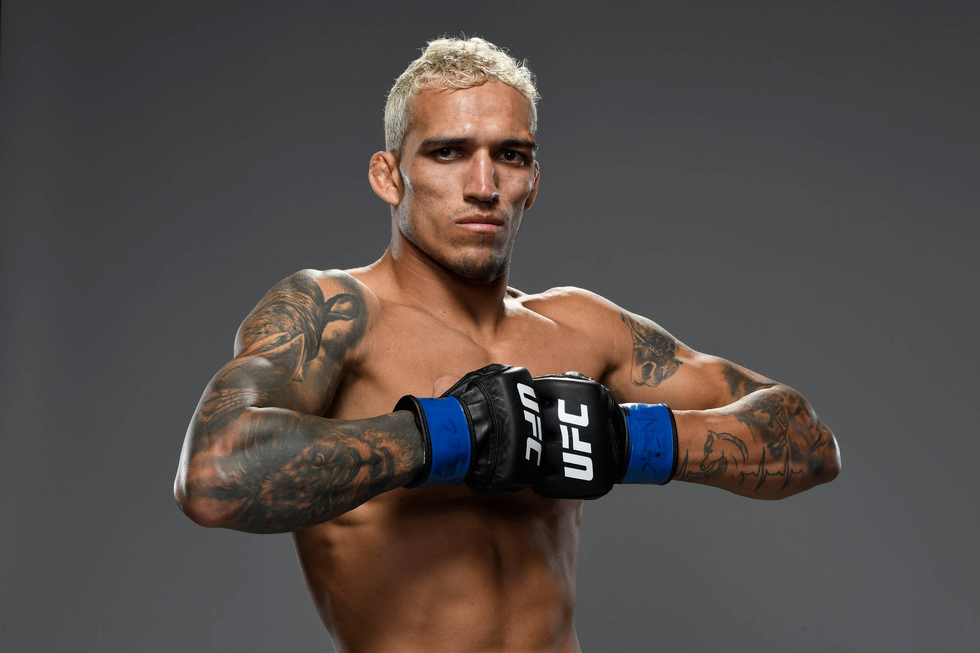 PHONEKY  mma HD Wallpapers
