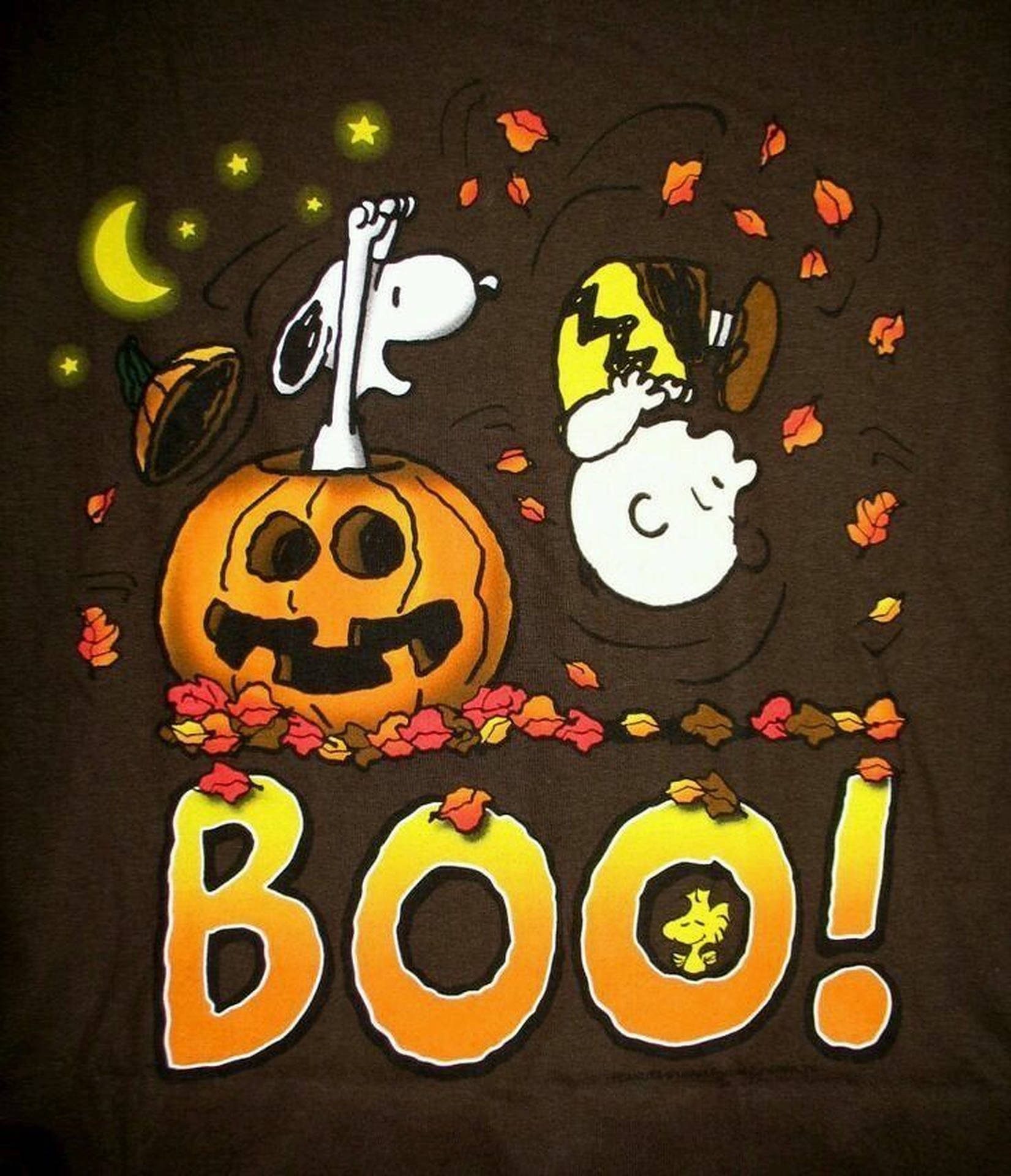 Charlie Brown And Snoopy Halloween Art Wallpaper
