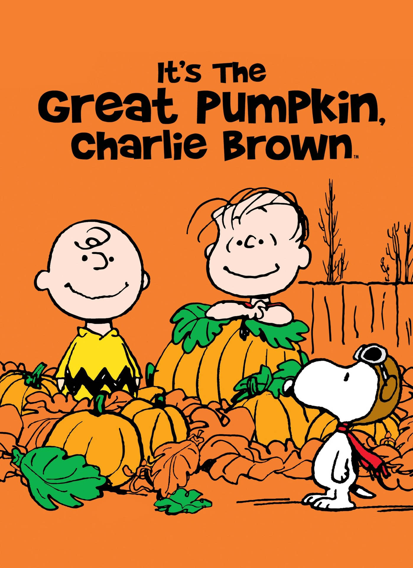 Charlie Brown Halloween Orange Background Wallpaper