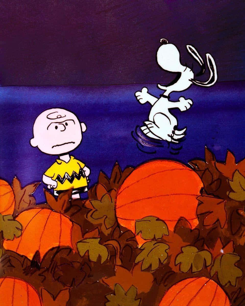 charlie brown and peanuts in the pumpkin patch