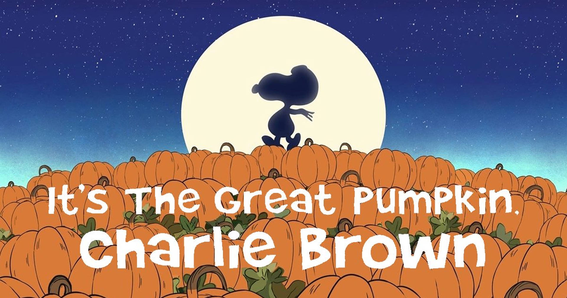 Charlie Brown Halloween Pumpkins Wallpaper
