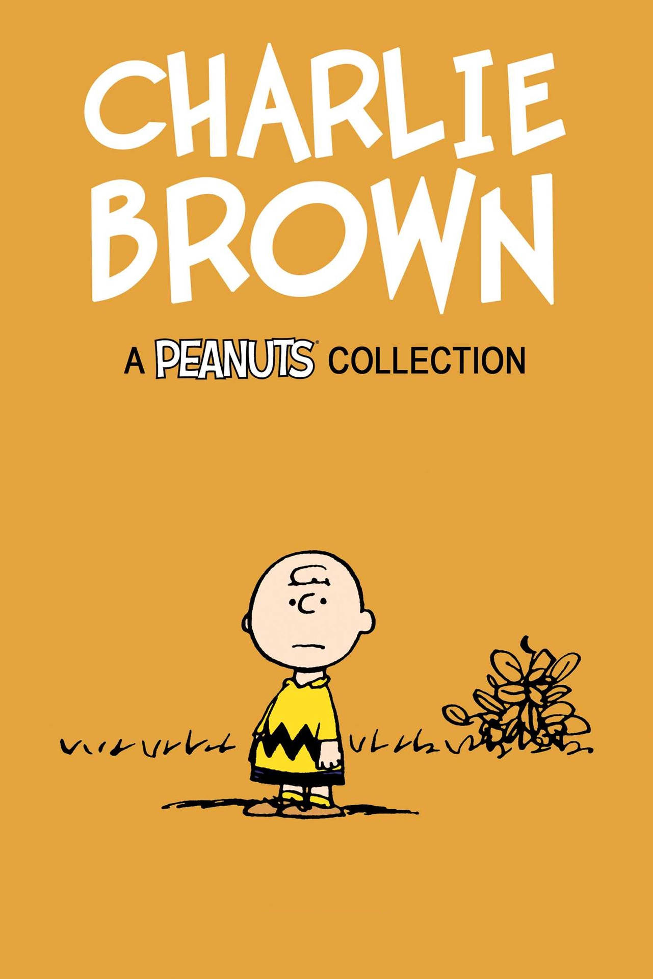 Charlie Brown Peanuts Collection