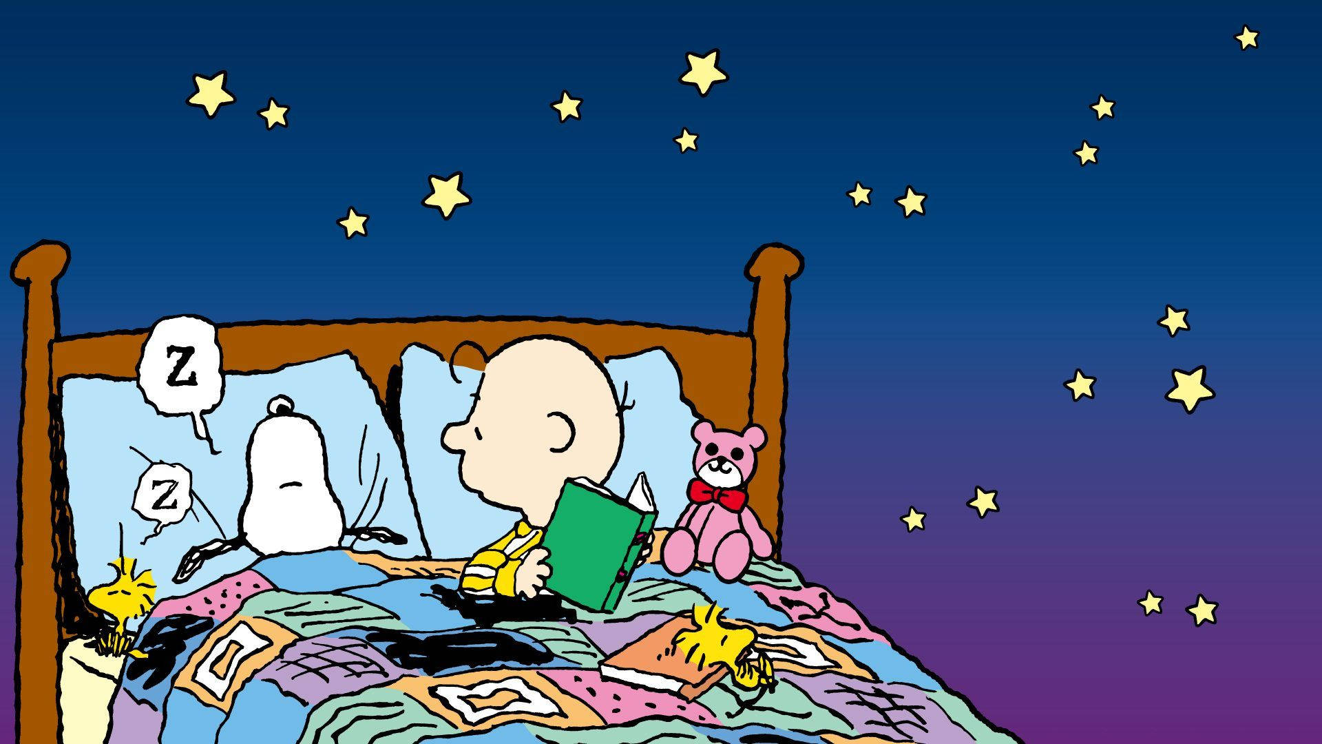 Charlie Brown Snoopy Bed Time
