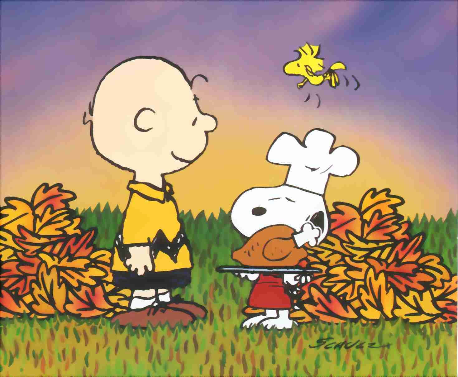 Charlie Brown Thanksgiving Turkey Snoopy Wallpaper