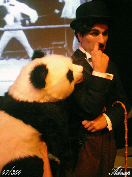 Charlie_ Chaplin_ With_ Panda_ Performer PNG