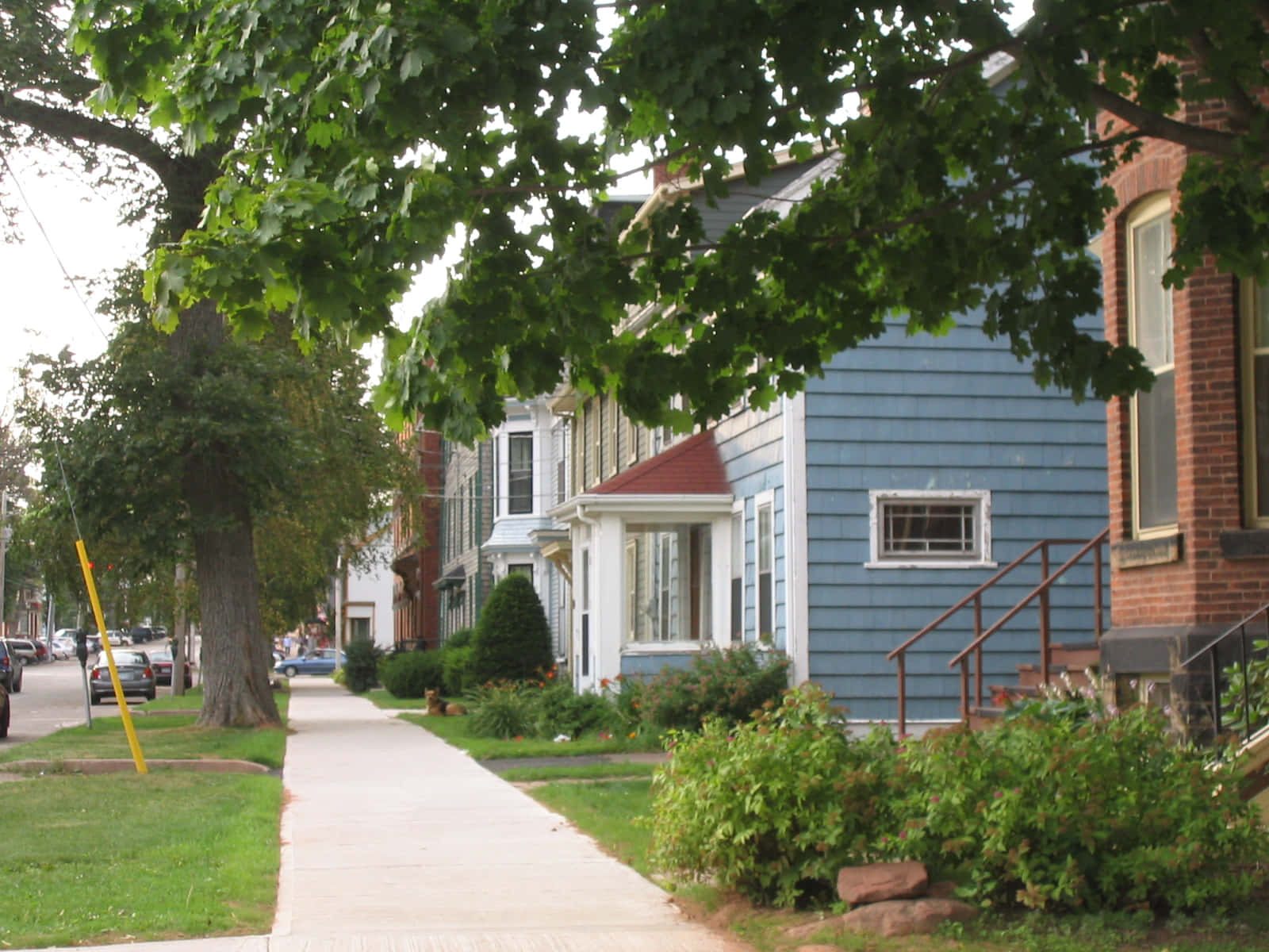 Scène De Rue Résidentielle À Charlottetown Fond d'écran