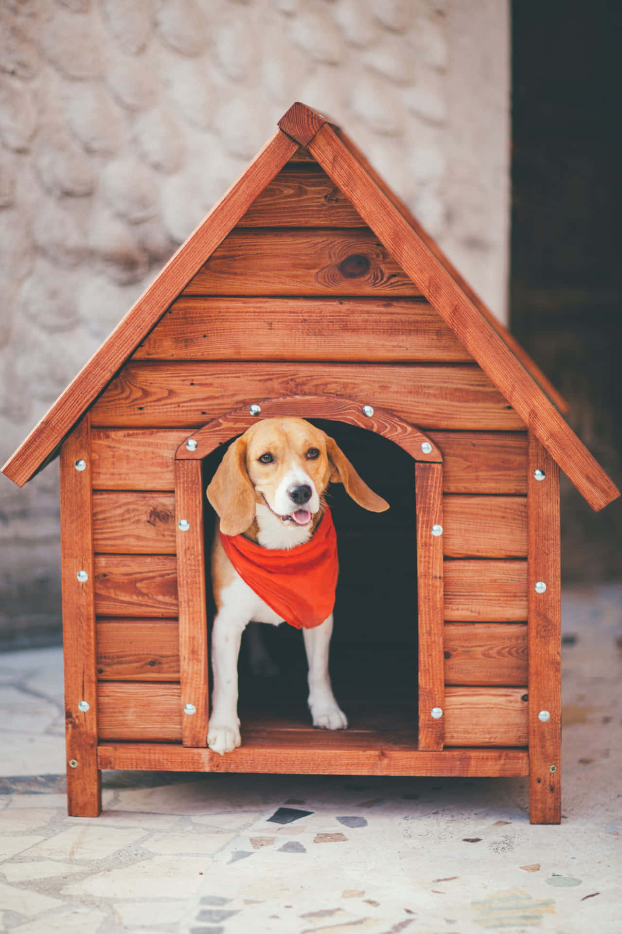 Charming And Cosy Wooden Dog House Nestled In A Scenic Home Garden. Wallpaper