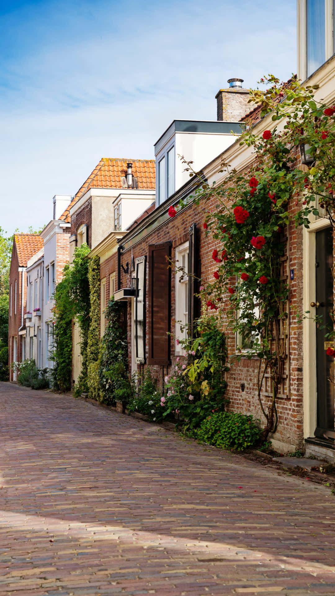 Charming Middelburg Cobblestone Street Wallpaper