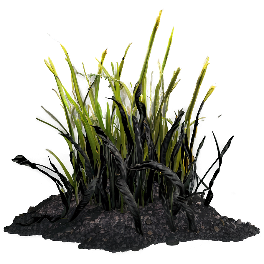 Charred Burnt Grass Png 23 PNG