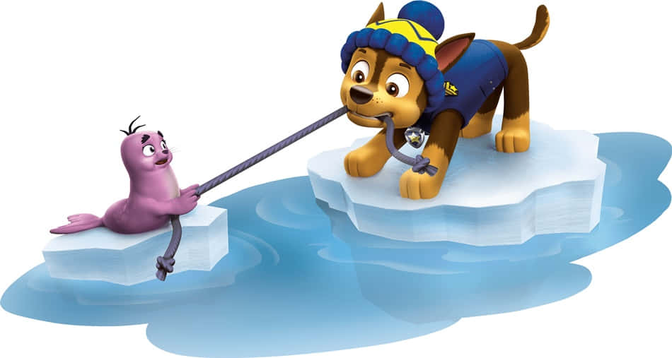 Chase Paw Patrol Playing With A Seal Wallpaper