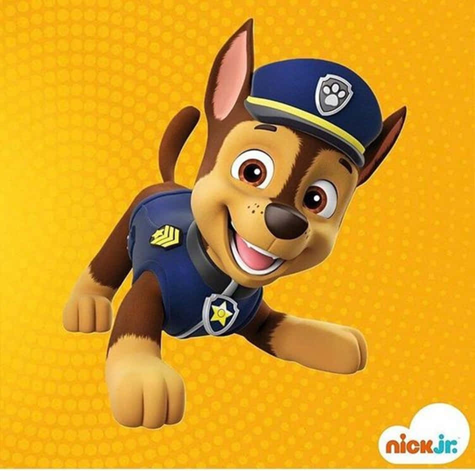 Felizchase, O Cachorro Policial Da Patrulha Canina. Papel de Parede
