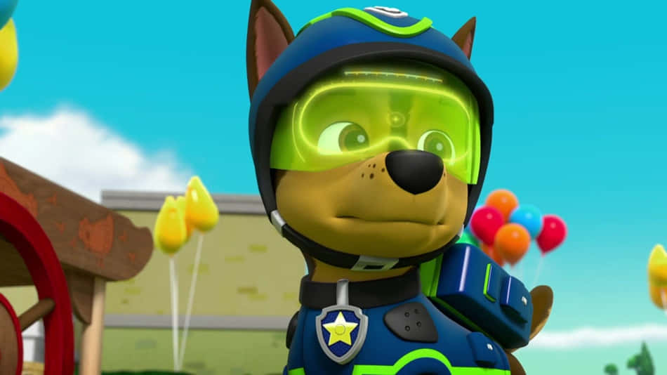 Superspy Chase Outfit Paw Patrol Serie Wallpaper