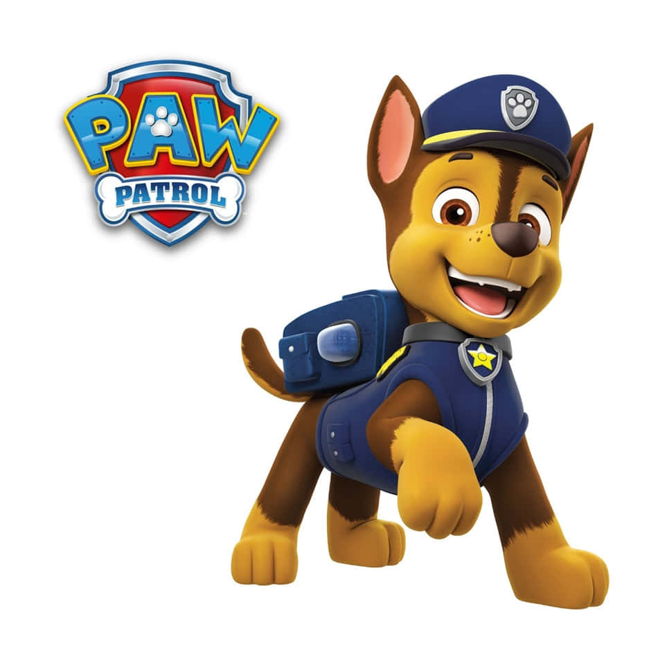 Chase the Police Dog from PAW Patrol keeping an eye out Wallpaper