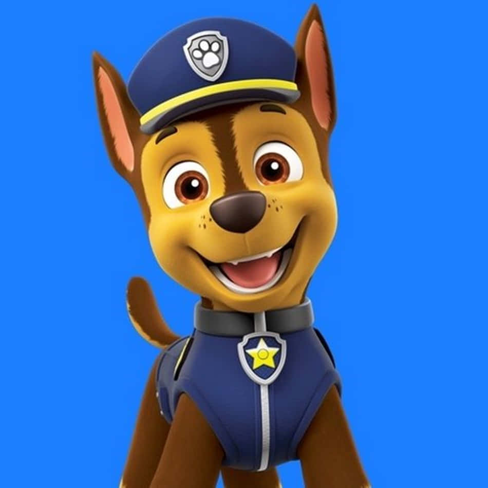 Chase of Paw Patrol is ready for action Wallpaper