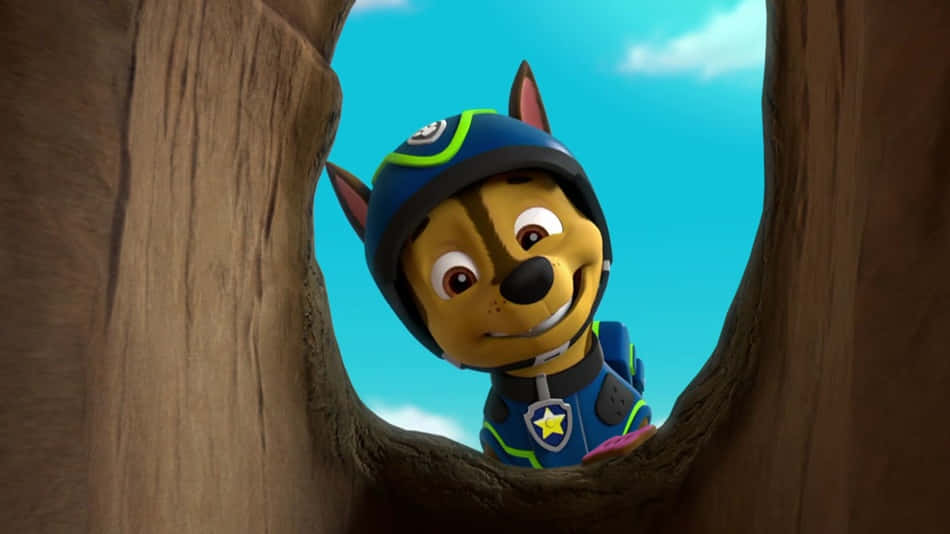 Chase, everybody’s favorite pup from Nickelodeon's Paw Patrol! Wallpaper