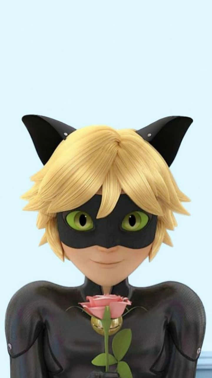 Be mysterious, be intriguing - be Chat Noir Wallpaper
