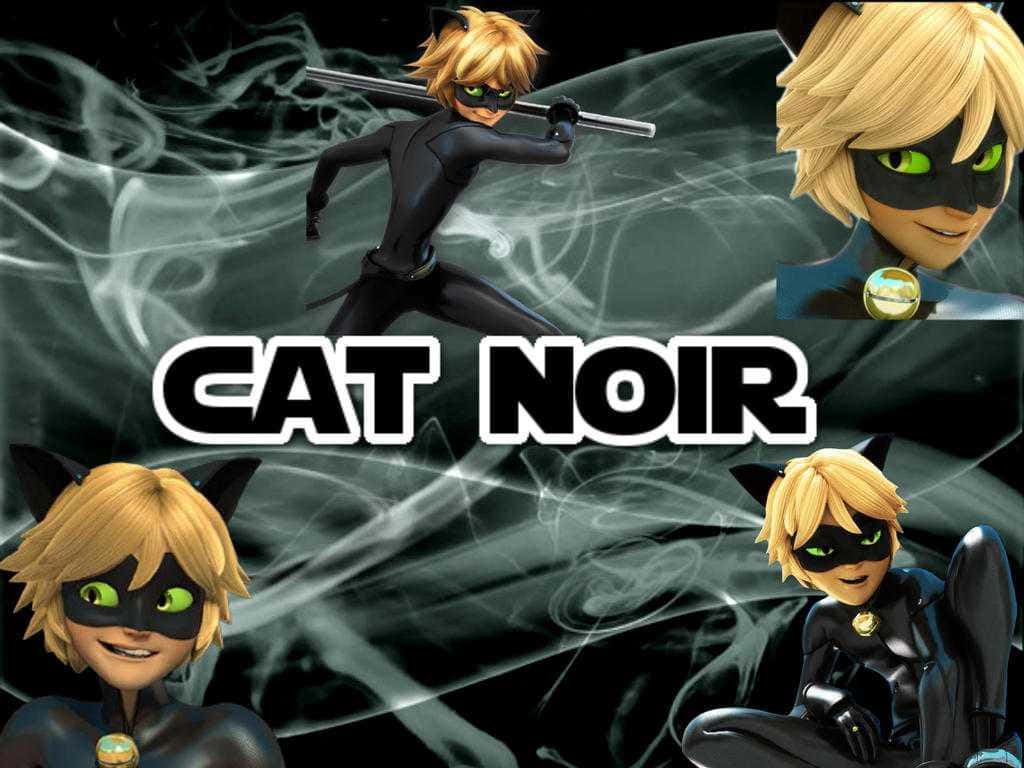 Catnoir Hintergrundbilder - Cat Noir Hintergrundbilder Wallpaper