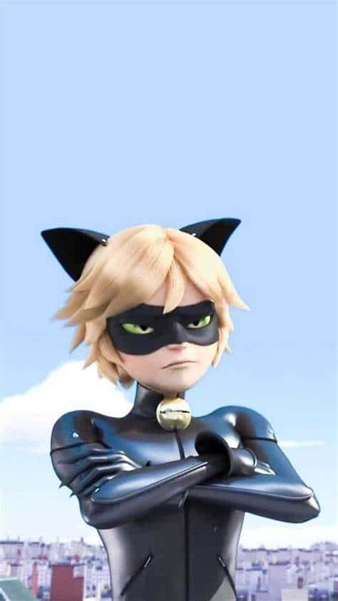 Go Wild with Chat Noir Wallpaper