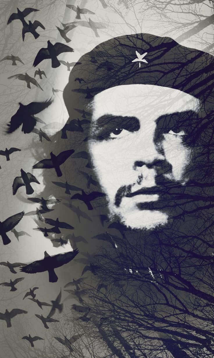 Che Guevara Iconic Portraitwith Birds Wallpaper
