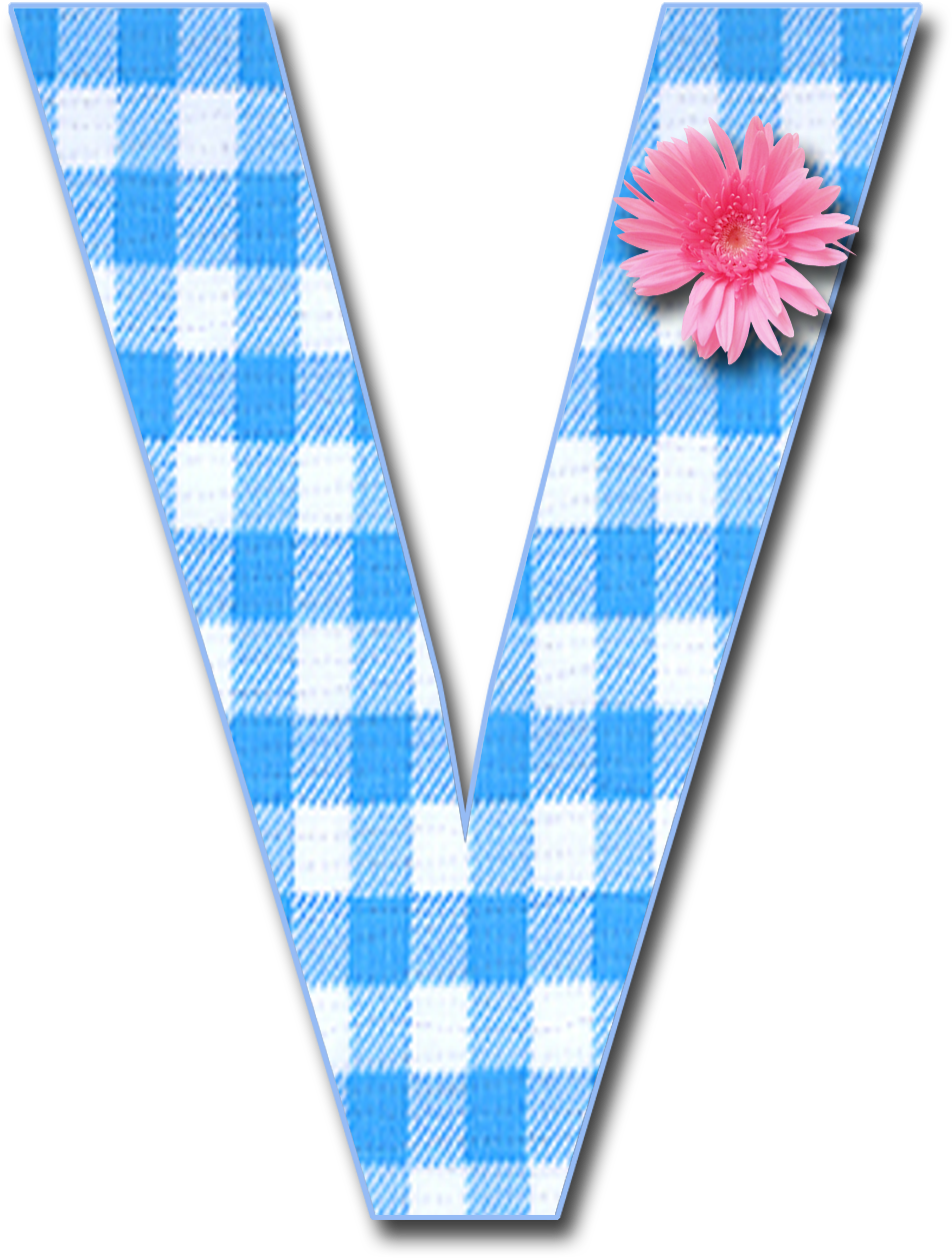 Checkered Letter Vwith Pink Flower PNG