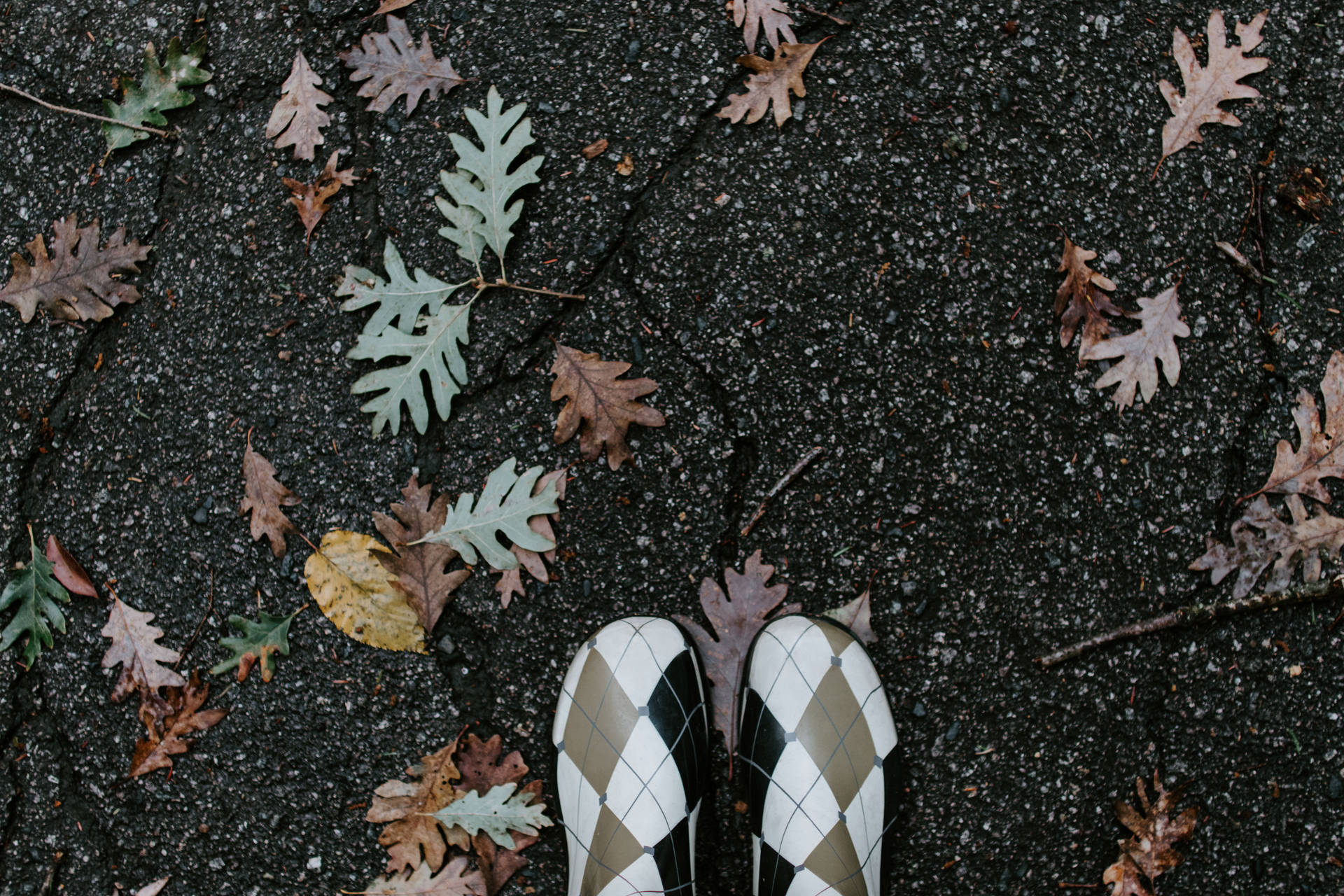 Checkered Shoes On Ground