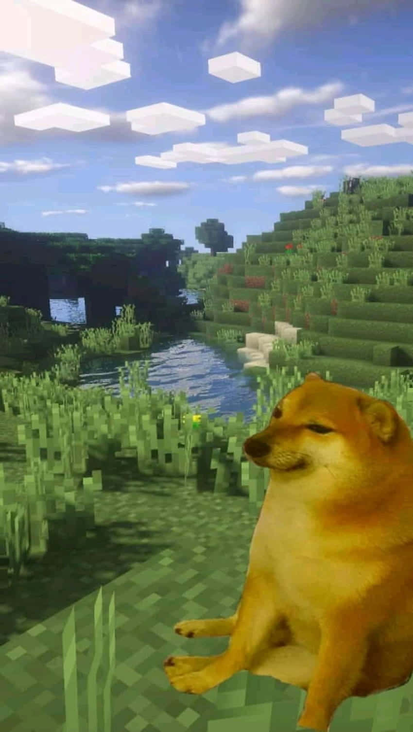 Einhund Sitzt Im Gras In Einer Minecraft-welt. Wallpaper