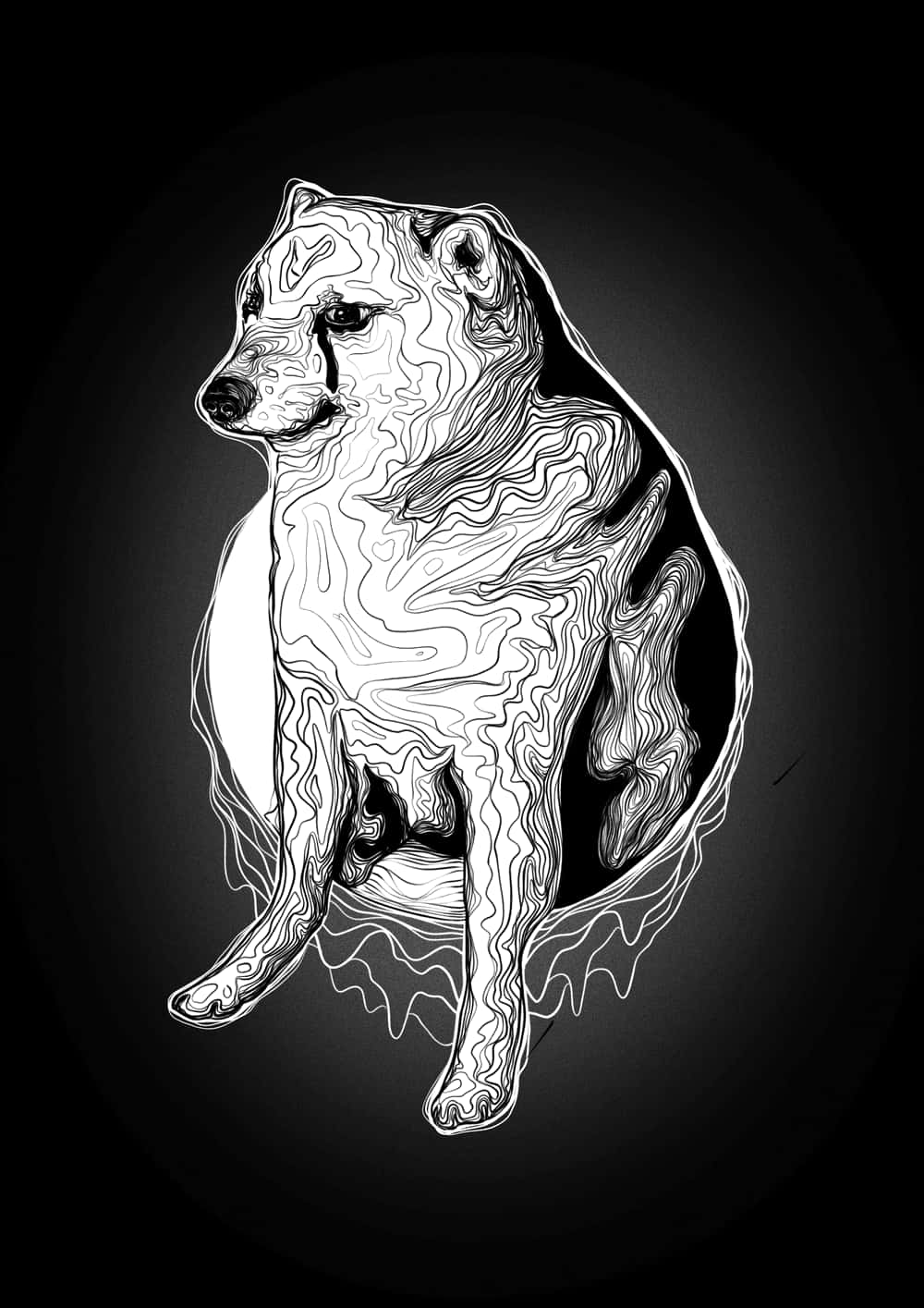Eineschwarz-weiß-zeichnung Eines Hundes, Der Auf Einem Schwarzen Hintergrund Sitzt Wallpaper