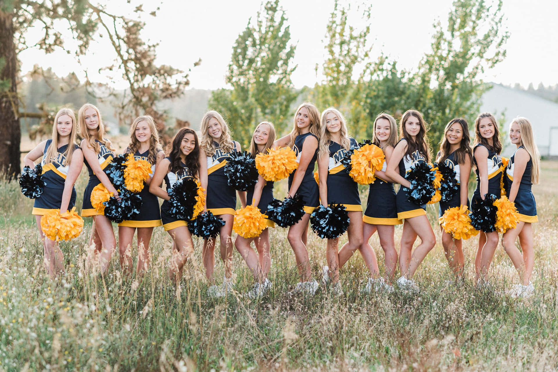 Cheerleaders Posing In Tall Grass Picture